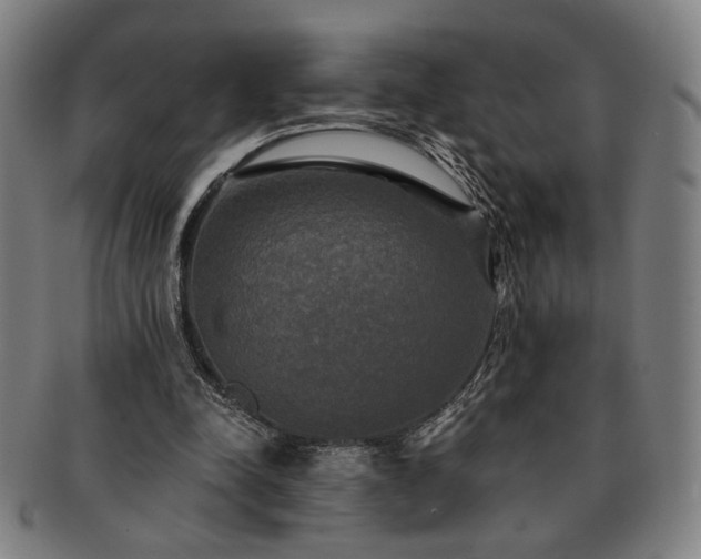 X0000091480342200708231405