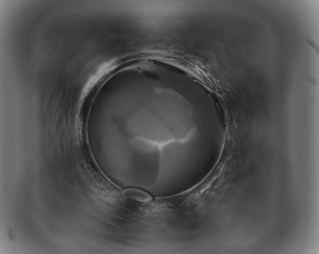 X0000091480343200708231405