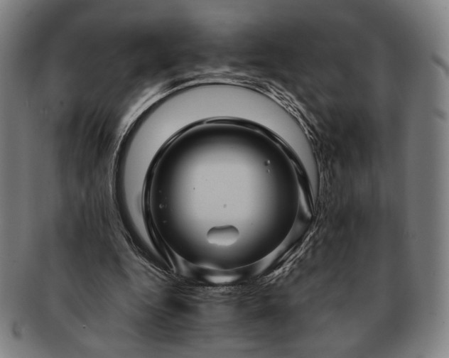 X0000091480344200708231405