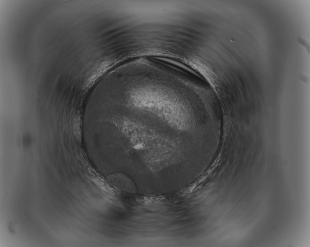 X0000091480345200708231405