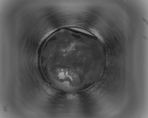 X0000091480346200708231405