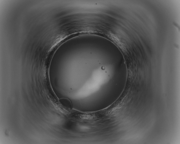 X0000091480347200708231405