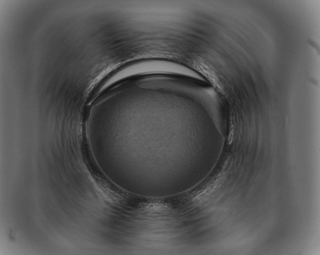 X0000091480348200708231405