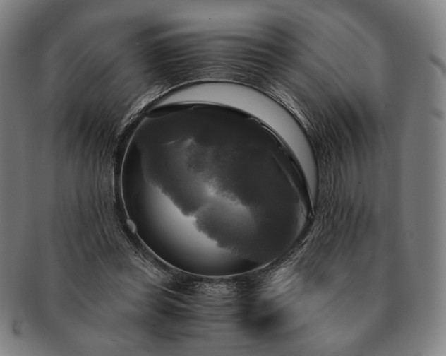 X0000091480349200708231405