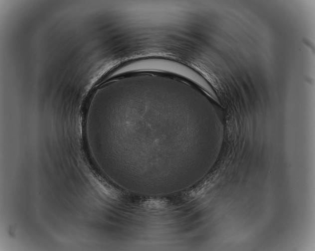 X0000091480350200708231405