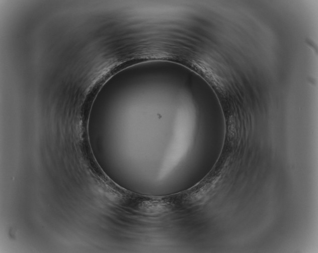 X0000091480351200708231405