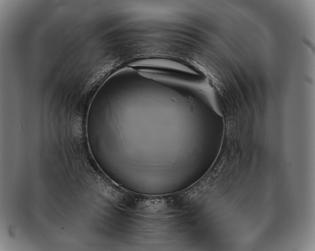 X0000091480353200708231405