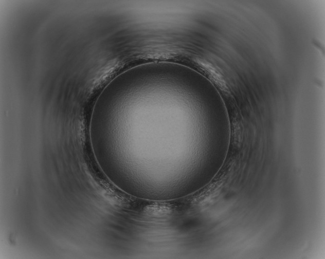 X0000091480354200708231405