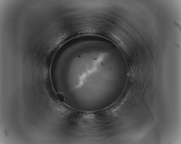 X0000091480355200708231405