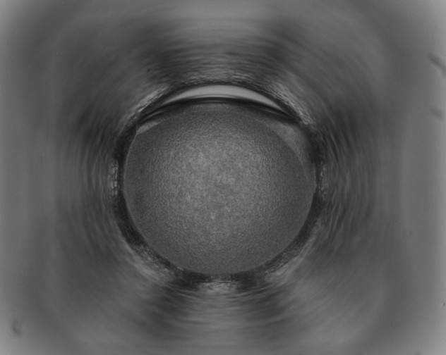 X0000091480356200708231405