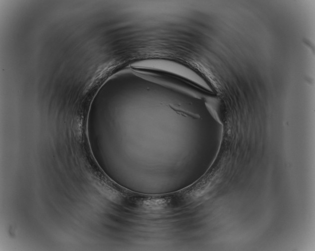 X0000091480357200708231405