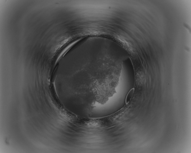 X0000091480358200708231405