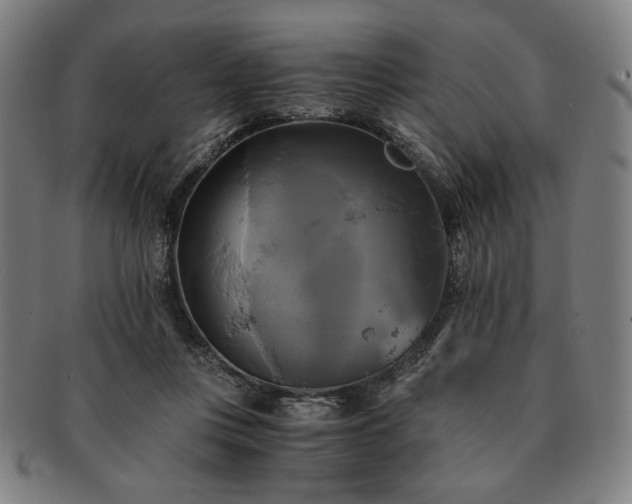 X0000091480359200708231405