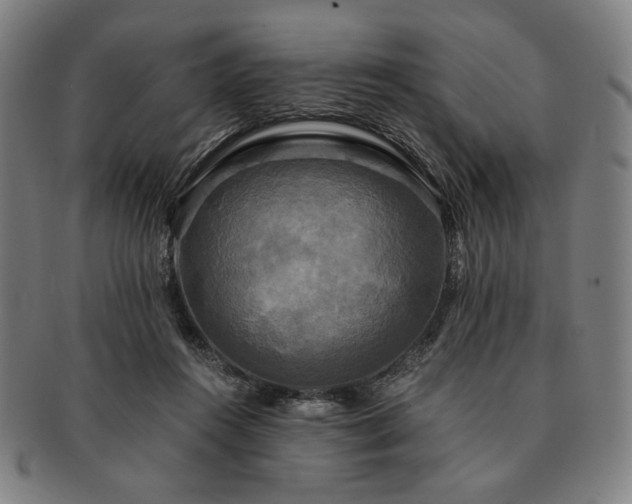 X0000091480360200708231405