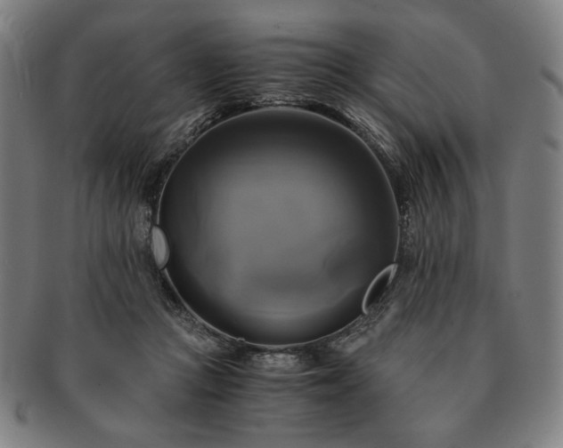 X0000091480361200708231405