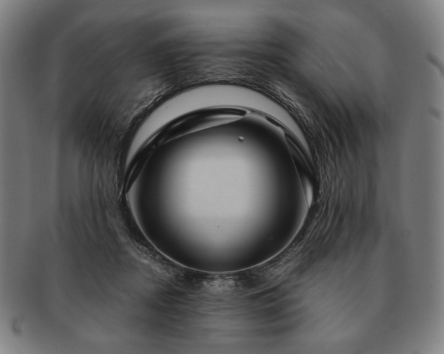 X0000091480362200708231405