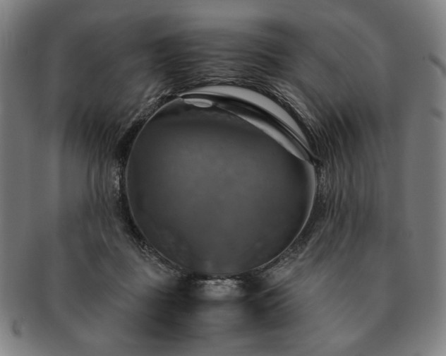 X0000091480363200708231405