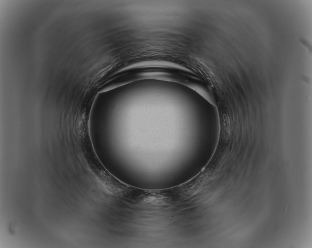 X0000091480364200708231405