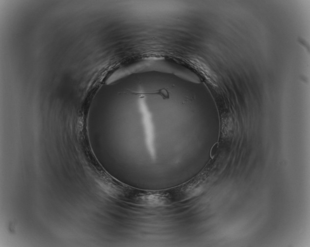 X0000091480365200708231405