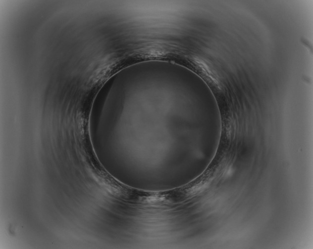 X0000091480366200708231405