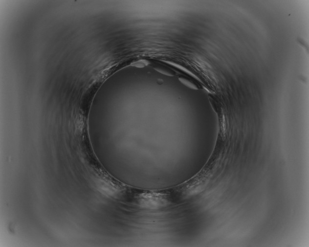 X0000091480367200708231405