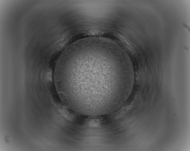 X0000091480368200708231405