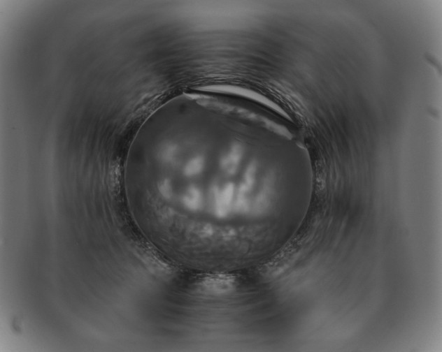 X0000091480369200708231405