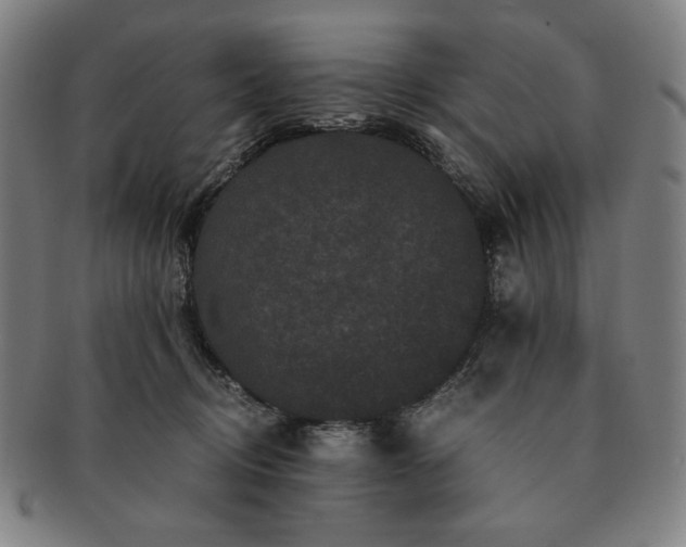 X0000091480370200708231405