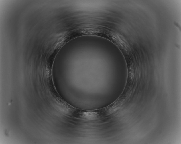 X0000091480371200708231405