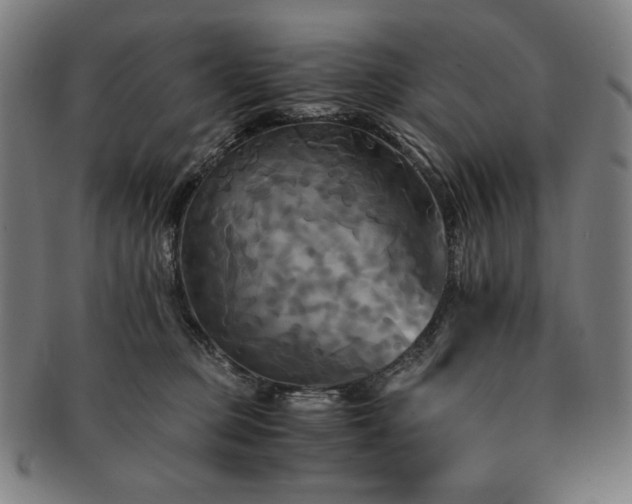 X0000091480373200708231405