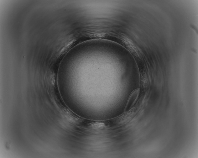 X0000091480374200708231405