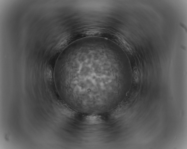 X0000091480375200708231405