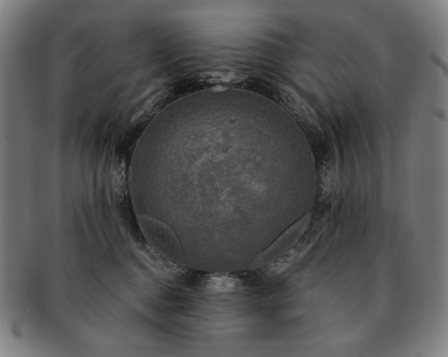 X0000091480376200708231405