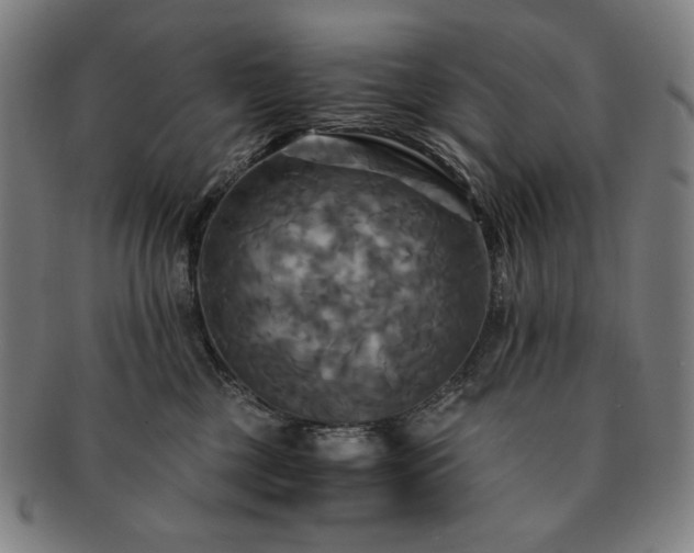 X0000091480377200708231405