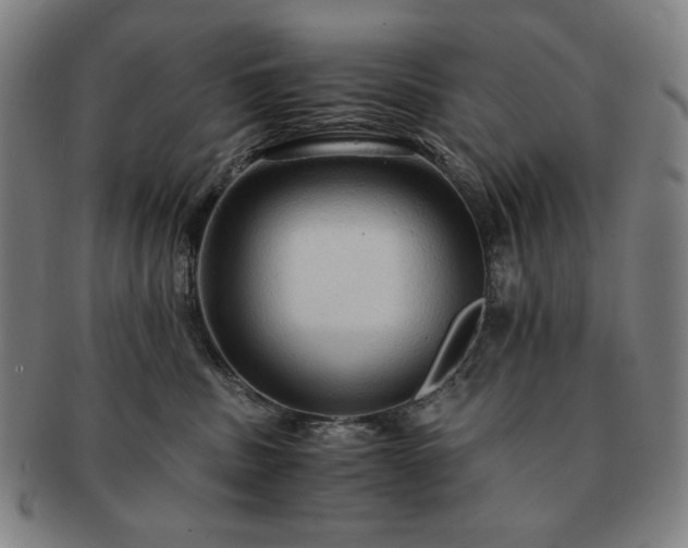 X0000091480379200708231405