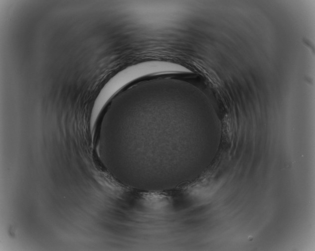 X0000091480380200708231405