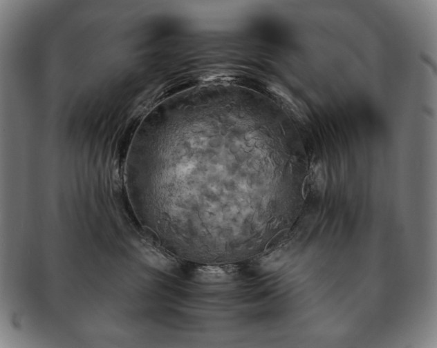 X0000091480381200708231405