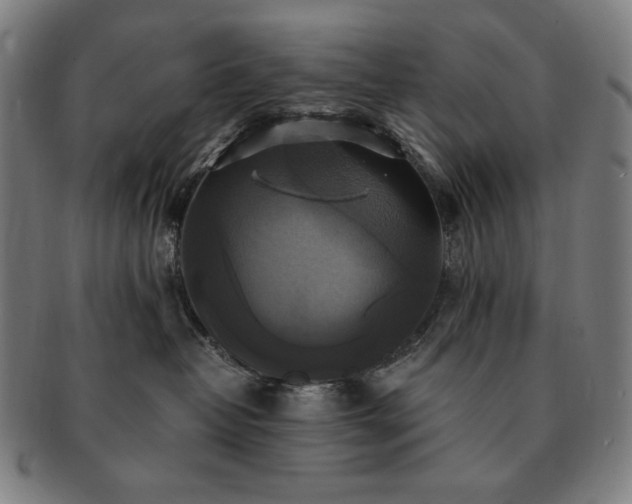 X0000091480382200708231405