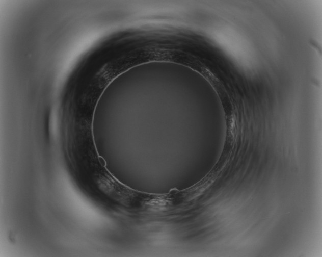 X0000091480383200708231405