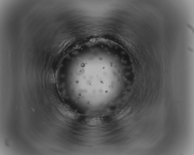 X0000091480384200708231405