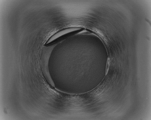 X0000091480385200708231405