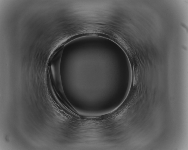 X0000091480387200708231405