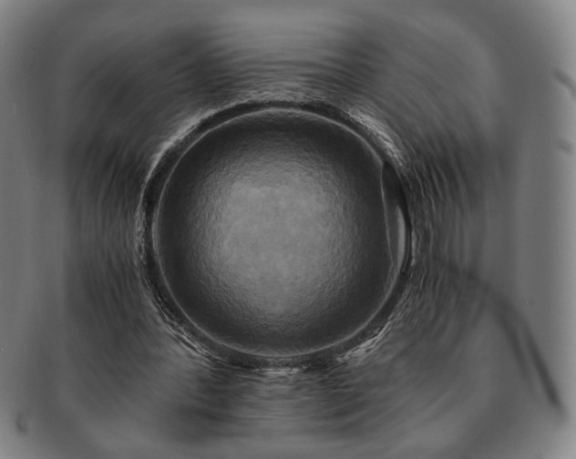 X0000091480388200708231405