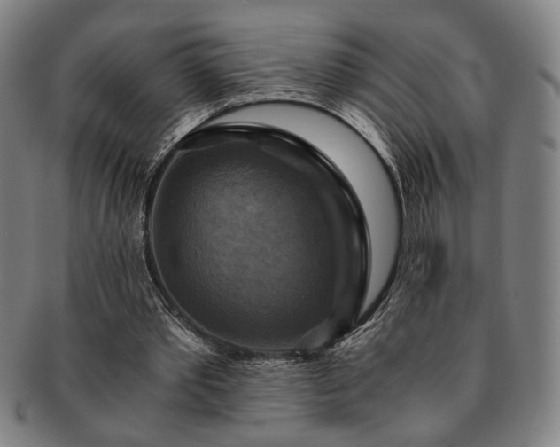 X0000091480389200708231405