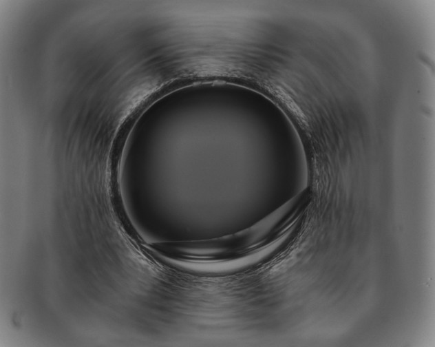 X0000091480391200708231405