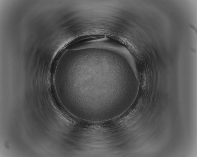 X0000091480392200708231405