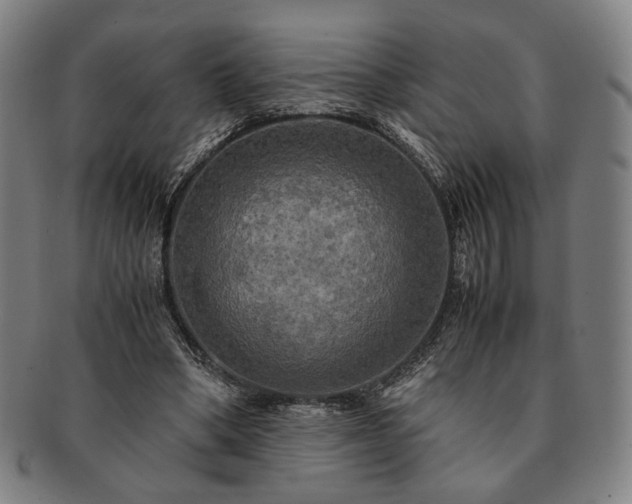 X0000091480394200708231405