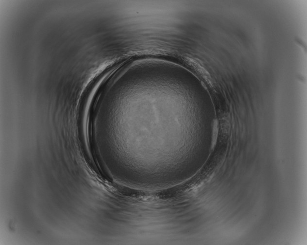 X0000091480395200708231405