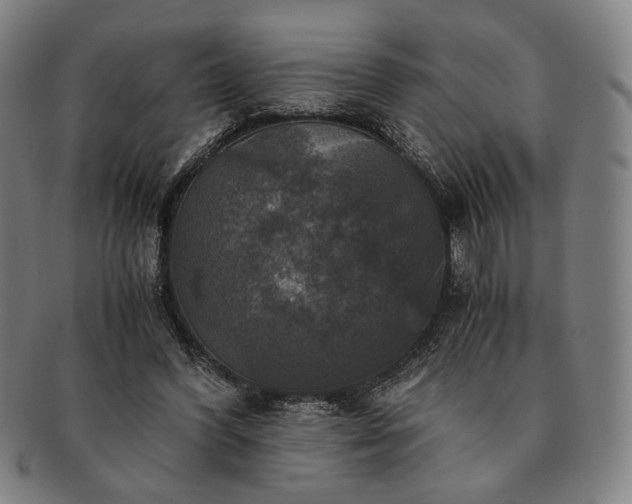 X0000091480396200708231405