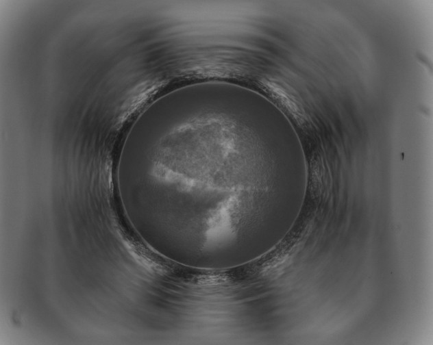 X0000091480398200708231405